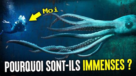 Pourquoi Les Créatures Des Abysses Évoluent Elles En Géantes YouTube