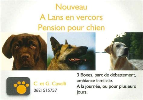 Pension Chien Journee Garde De Chiens