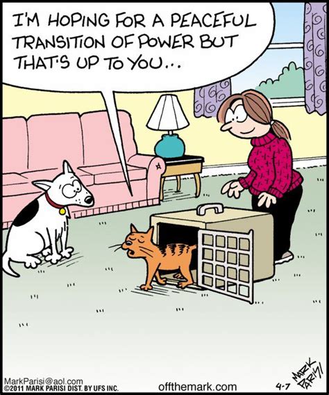 Funny Cat And Dog Comics - Cat Mania