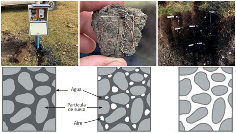 C Mo Determinar La Humedad Y Estructura Del Suelo