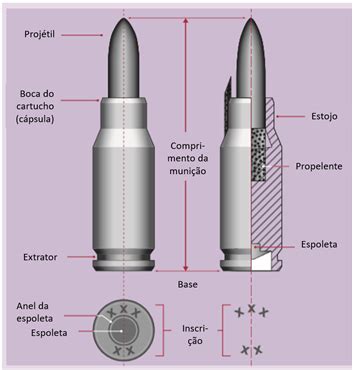 Firearms Module 2 Key Issues Ammunition