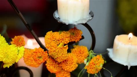 Jon Tapia Y Sus Nenas LA CATRINA Sexy Nude Cosplay Lingerie Jon Jon