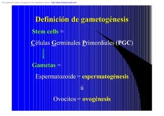 Gametogenesis 1 Pdf