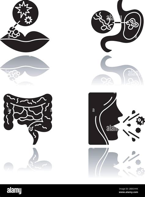 Viral Infections Drop Shadow Black Glyph Icons Set Schistosomiasis