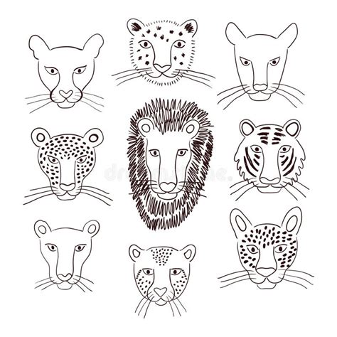 Big Cats Faces Isolated Collection Black White Stock Vector