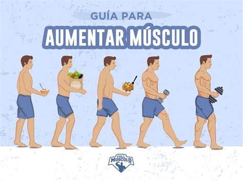 Cómo Aumentar Masa Muscular Guia 2021 FullMusculo Aumentar masa