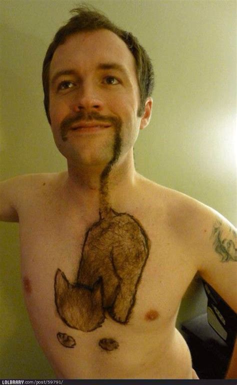 Gross Cat Beardchest Hair Funny Photos Funny  Funny Graphics