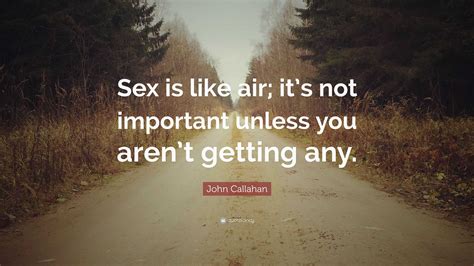 John Callahan Quote Sex Is Like Air Its Not Important Unless You