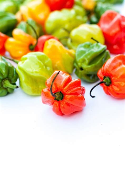 Scotch Bonnet Vs Habanero Are They The Same Thing