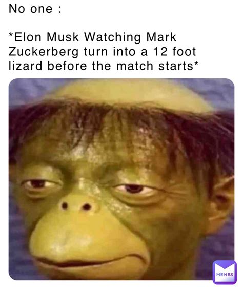 No one : *Elon Musk Watching Mark Zuckerberg turn into a 12 foot lizard ...