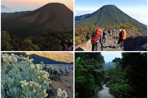 Inilah Perbedaan Gunung Gede Dan Pangrango Yang Letaknya Bersebelahan