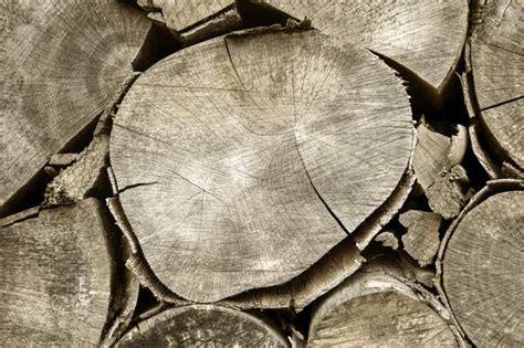 Chopped Firewood Is Stacked In Neat Piles Woodpile Background Toned