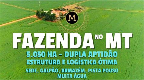 Tima Fazenda Ha No Mato Grosso Dupla Aptid O Muito Produtiva