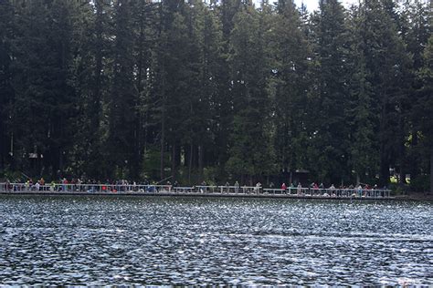 Fishing at Pine Lake – Sammamish, Washington