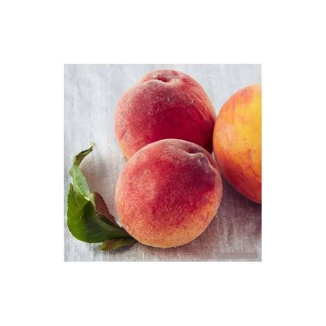 Fresh Peaches Fresh Nectarines Class 1 Premium Quality For Sale