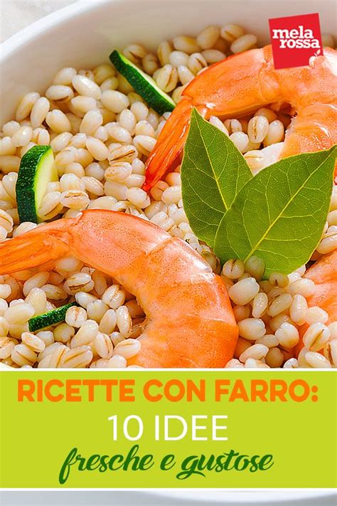 Ricette Con Farro Le Migliori Idee Fresche E Gustose Melarossa