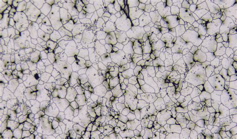 Universal Grain Size Analysis Clemex