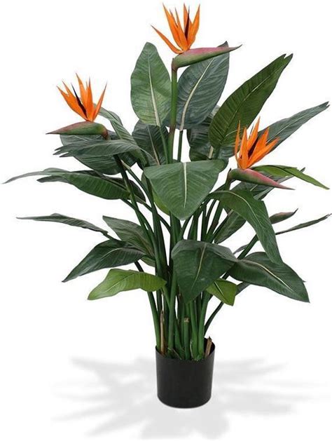 Kunst Strelitzia Deluxe 120 Cm Namaak Plant Strelitzia Decoratieve