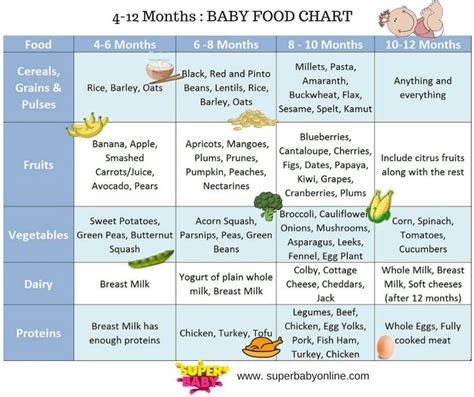 Baby Food Chart For 7 Months Taste Virginia Beach