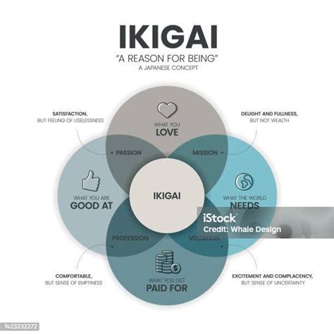 Le Modèle Dinfographie Ikigai Ou Raison Dêtre Diagramme A 4 Types À