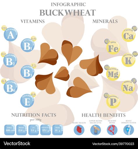 Buckwheat Nutrition Facts And Health Benefits Vector Image