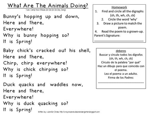 Digraph Duck Is Cracking From His Shell Digraph Teacher Resources