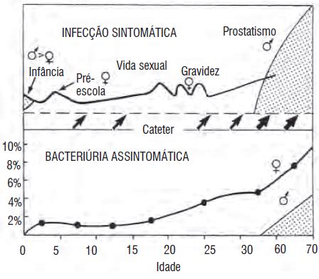 Infecção do Trato Urinário ITU definição classificação