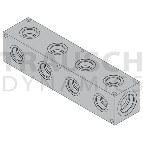 24 Sae Trausch Dynamics