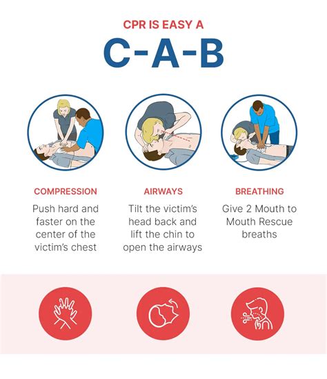 Bls Cheat Sheet 2024 Erma Odetta