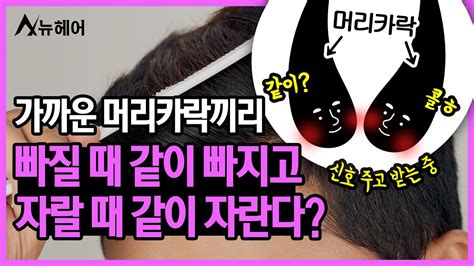 인접한 모발끼리 상호작용을 휴지기탈모 모발성장주기｜뉴헤어 Youtube