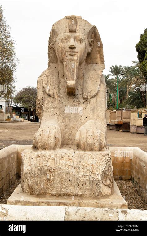 The Alabaster Sphinx In Memphis Egypt Stock Photo Alamy