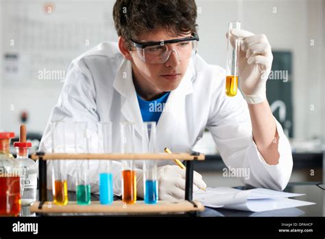 Scientist Doing Experiment In Science Lab Vector Imag