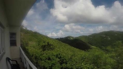 Original Canopy Tour Tortola Bvi Youtube