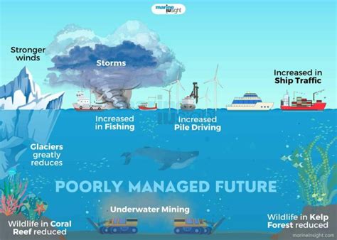 Effects Of Noise Pollution From Ships On Marine Life