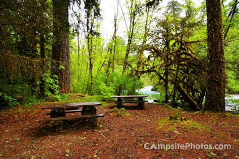 Mckenzie Bridge Campsite Photos Camping Info And Reservations