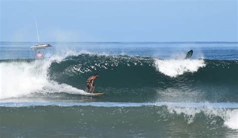 Tidal Wave Surf Academy All Tama Costa Rica