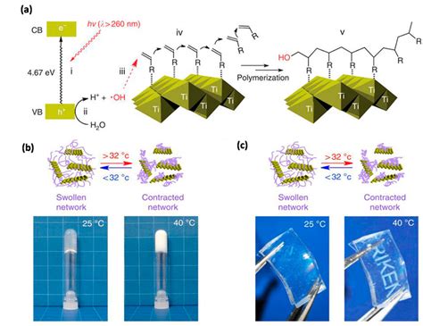 A In Situ Photoinduced Polymerization And Formation Of Nanocomposite