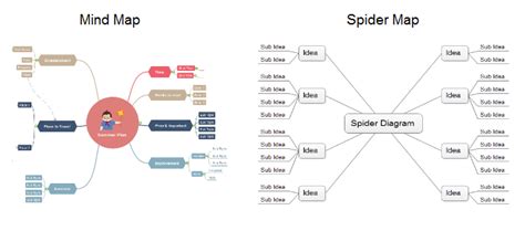 Spider Map Graphic Organizer - Free Templates