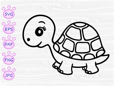 Baby Turtle Svg Etsy