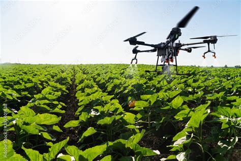 Drone sprayer flies over the agricultural field. Smart farming and ...