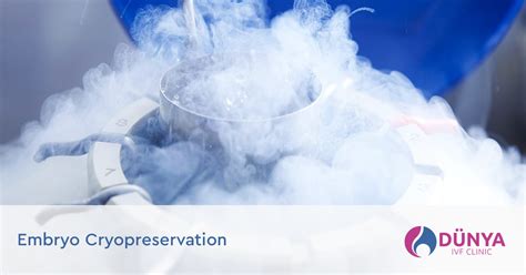 Embryo Cryopreservation Dunya Ivf Fertility Clinic