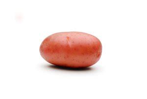 Картофель Ред Леди (Red Lady) | Сорта картофеля