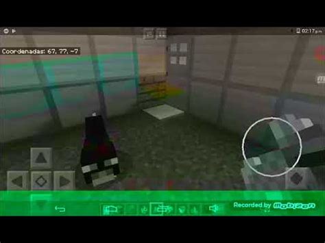 Como Domesticar Un Ocelote En Minecraft YouTube