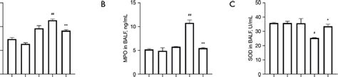 The inhibition of PKCα alleviates oxidative stress in mouse lung