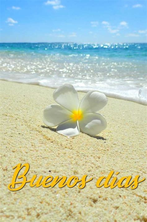 100 New Tarjetas De Buenos Días Amor FinetoShine