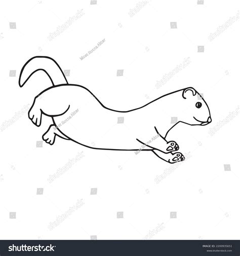 Beautiful Ferret Line Art Imagesferret Outline Stock Vector Royalty Free 2200935651 Shutterstock