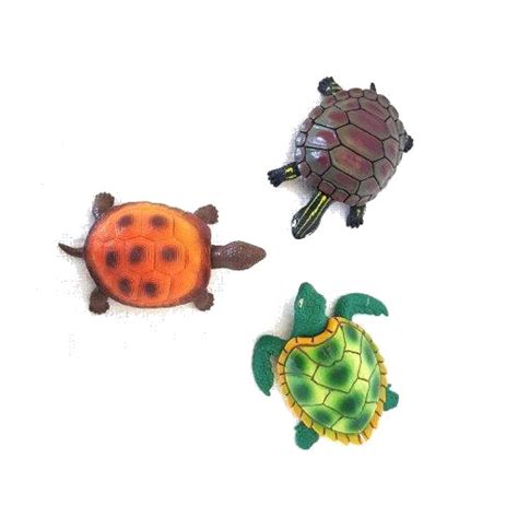 5″ Turtle Hard Shell with Stretchy Legs – Clyde Peeling's Reptiland