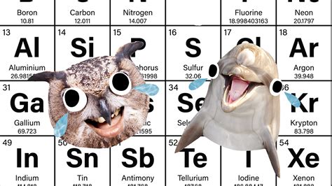 20 Periodic Table Jokes That Generate a Great Reaction! | Beano.com