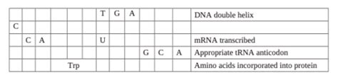 BIOS 3100 CH 9 Textbook Questions Flashcards Quizlet