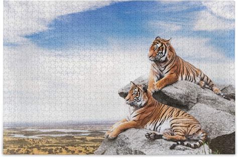 Dreamtimes Tigers On The Rocks Puzzle For Adults 1000 Piece Puzzles